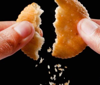 Neurodivergence et alimentation chez les profils TDAH TSA et haut potentiel à Charleroi